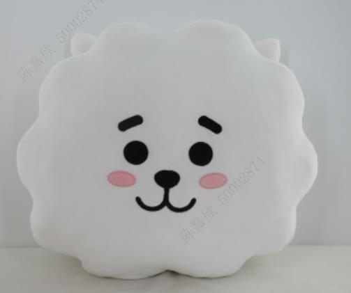 MINISO BT21 COLLECTION 16IN. HEAD-SHAPE PILLOW(RJ) 2016276012102 BACK CUSHION