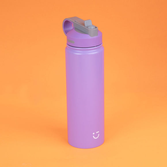 MINISO SOLID COLOR STAINLESS STEEL BOTTLE WITH HANDLE AND STRAW LID ( 900ML ) ( PURPLE ) 2015040911108 LIFE DEPARTMENT