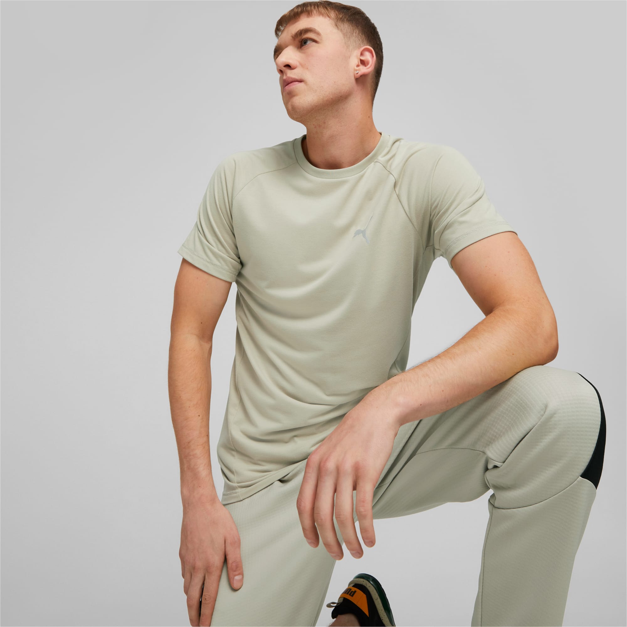 Evostripe tee on sale