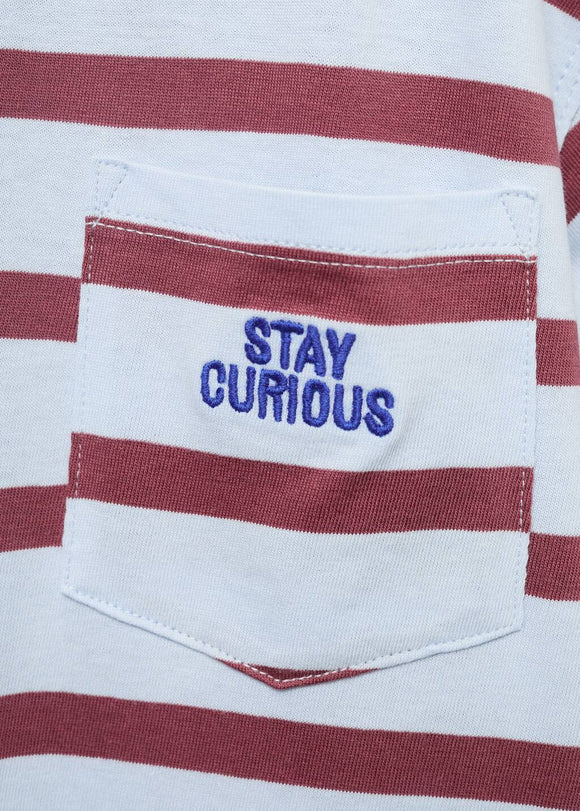 MANGO KIT 17032541-50 MANGO KIDS BOY T-SHIRT SHORT SLEEVE