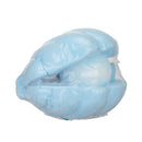 MINISO EAZZY SHELL PEARL SCENTED BATH BOMB (OCEAN) 2014475910106 BATH SALT-2