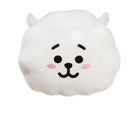 MINISO BT21 COLLECTION 16IN. HEAD-SHAPE PILLOW(RJ) 2016276012102 BACK CUSHION-1