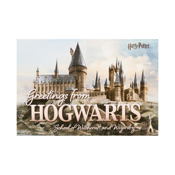 MINISO HARRY POTTER 1000-PIECE PUZZLE(A) 2018303210109 DIY PUZZLE
