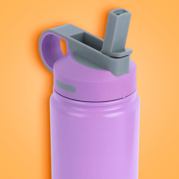 MINISO SOLID COLOR STAINLESS STEEL BOTTLE WITH HANDLE AND STRAW LID ( 900ML ) ( PURPLE ) 2015040911108 LIFE DEPARTMENT