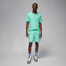 NIKE M J JUMPMAN EMB SS CREW DC7485-349 T-SHIRT SHORT SLEEVE (M)-6