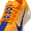 NIKE PEGASUS PLUS FQ7262-801 RUNNING SHOES (M)-11