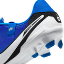NIKE LEGEND 10 ACADEMY FG/MG DV4337-400 FIRM GROUND SHOES FOOTBALL(M)-10