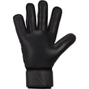 NIKE NK GK MATCH - HO23 FJ4862-014 GOALKEEPER GLOVE (U)-3