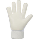 NIKE GK MATCH - HO23 FJ4862-100 GOALKEEPER GLOVE (U)-2