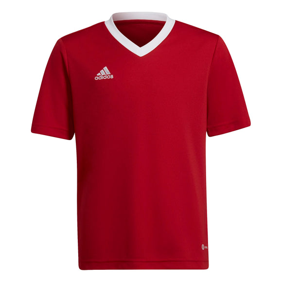 ADIDAS ENT22 JSY Y TEPORE H57496 JERSEY SHORT SLEEVE FOOTBALL (YB) UNIFORM