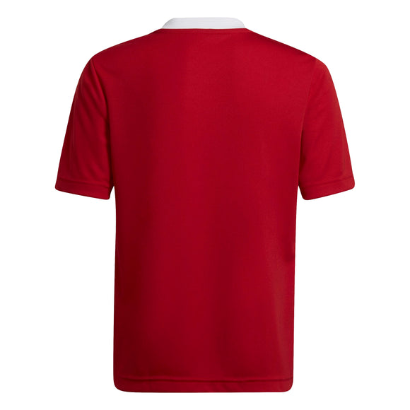 ADIDAS ENT22 JSY Y TEPORE H57496 JERSEY SHORT SLEEVE FOOTBALL (YB) UNIFORM
