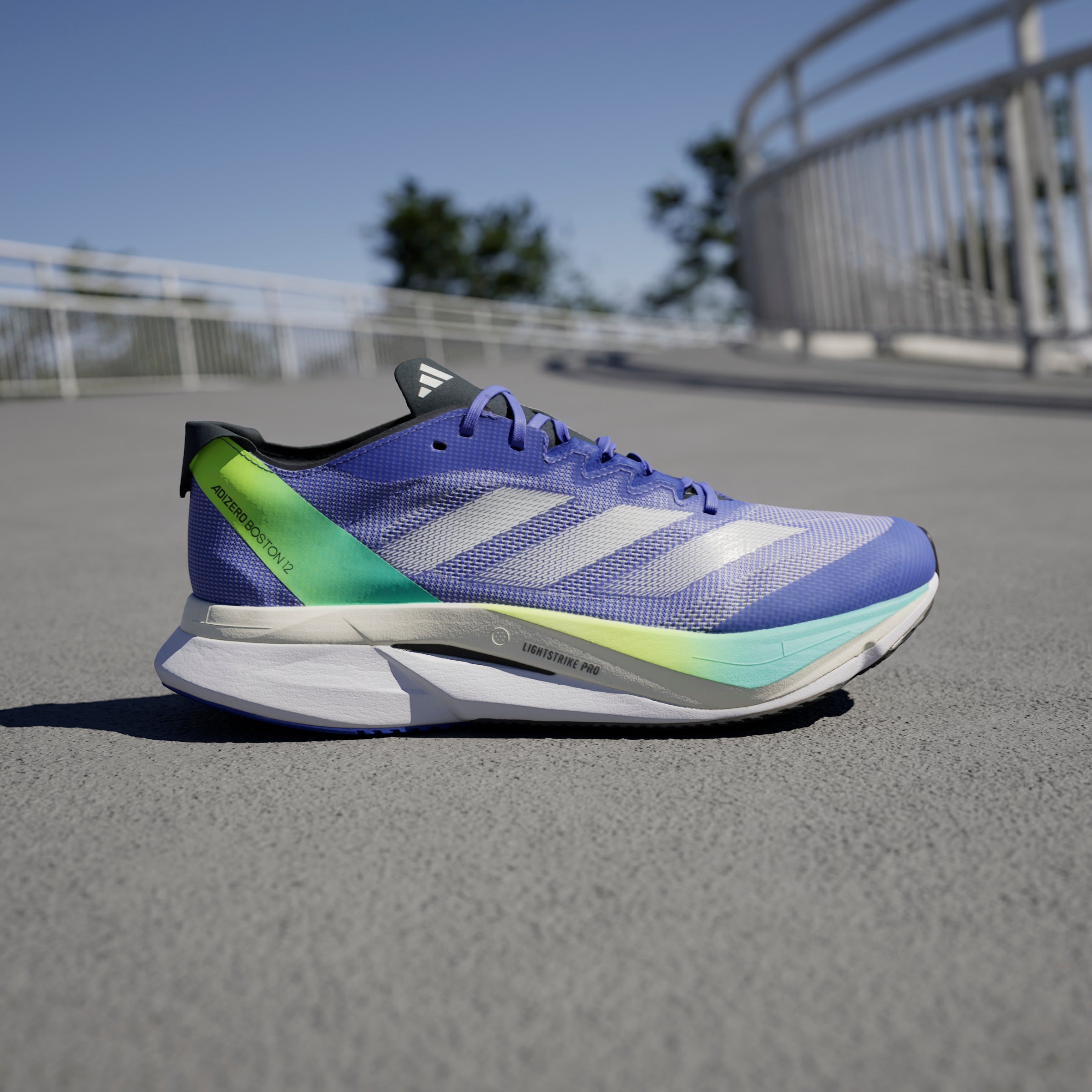 ADIDAS ADIZERO BOSTON 12 M IF9211 RUNNING SHOES (M)