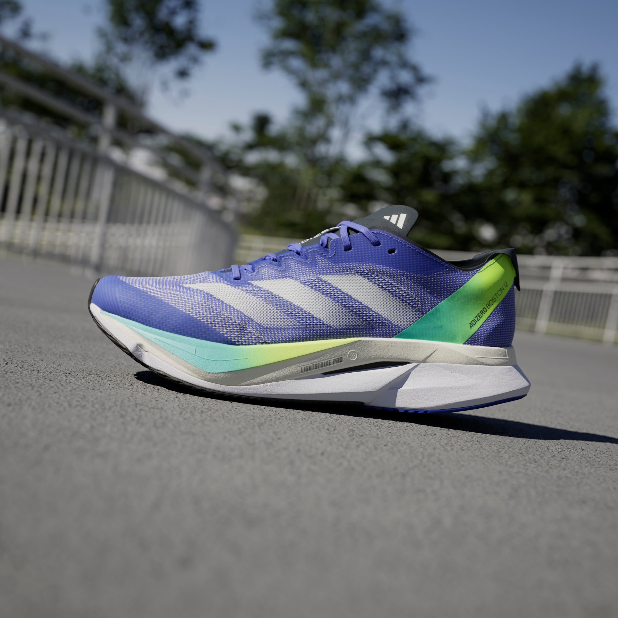 ADIDAS ADIZERO BOSTON 12 M IF9211 RUNNING SHOES (M)