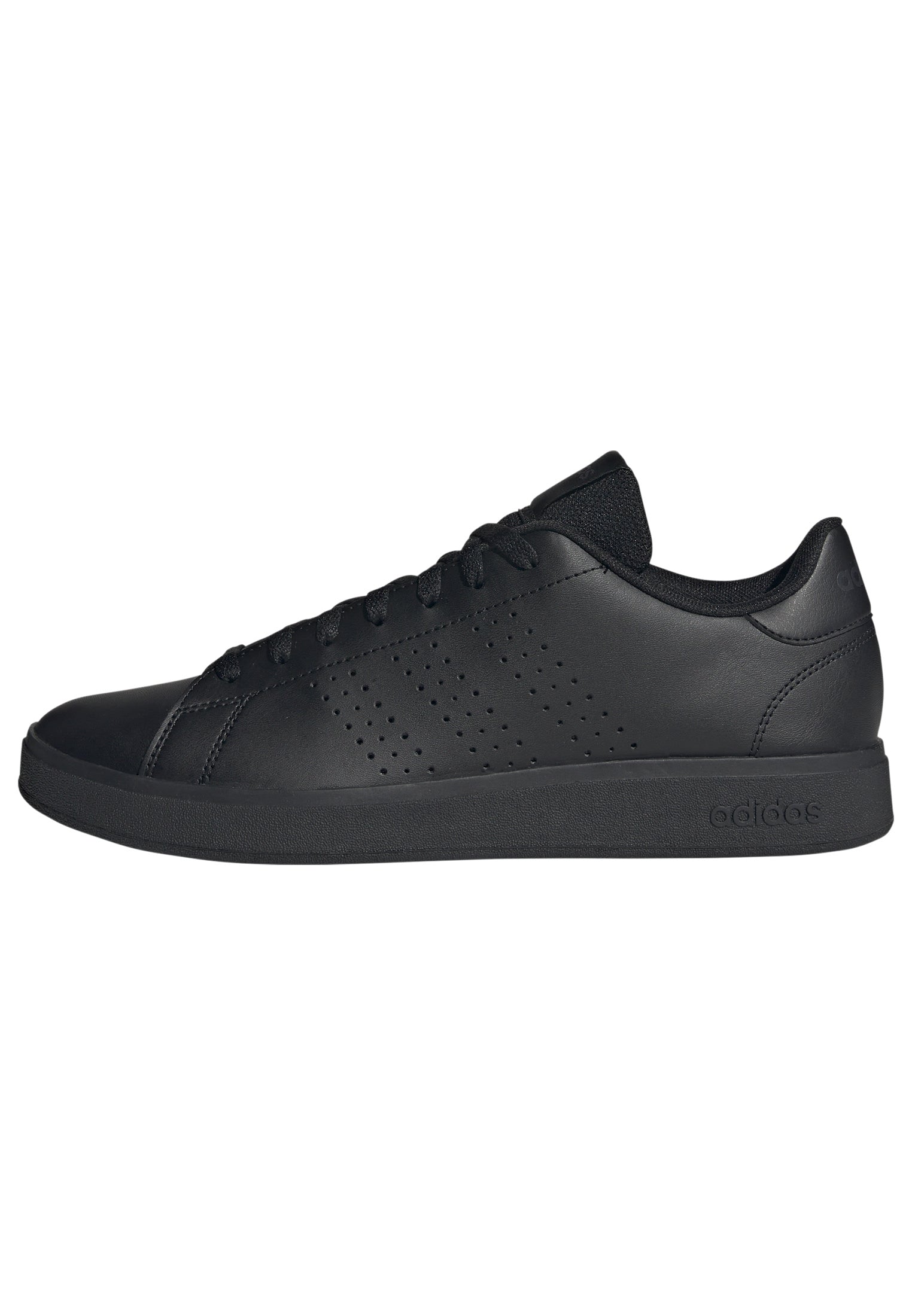 adidas advantage 43