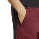 ADIDAS TR-ES+  SHORT IJ9616 SHORT TRAINING (M)-3