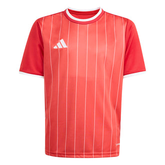 ADIDAS ENT26 GFX JSY Y KB3981 JERSEY SHORT SLEEVE FOOTBALL (YB) UNIFORM