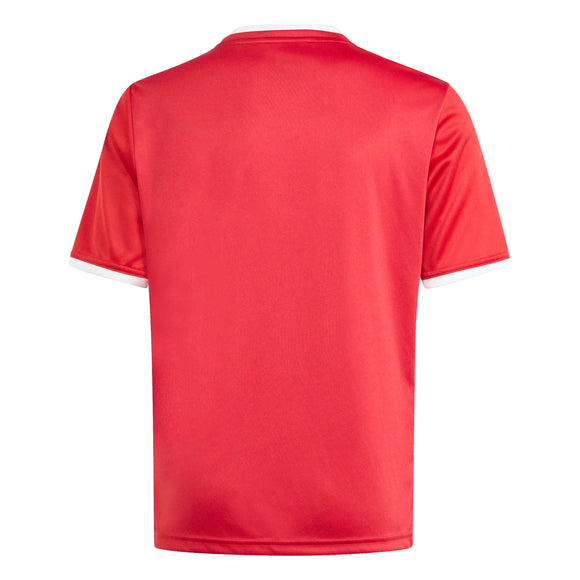 ADIDAS ENT26 GFX JSY Y KB3981 JERSEY SHORT SLEEVE FOOTBALL (YB) UNIFORM