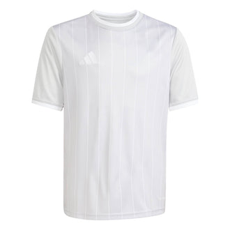 ADIDAS ENT26 GFX JSY Y KB3983 JERSEY SHORT SLEEVE FOOTBALL (YB) UNIFORM