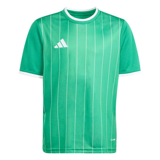 ADIDAS ENT26 GFX JSY Y KB3985 JERSEY SHORT SLEEVE FOOTBALL (YB) UNIFORM