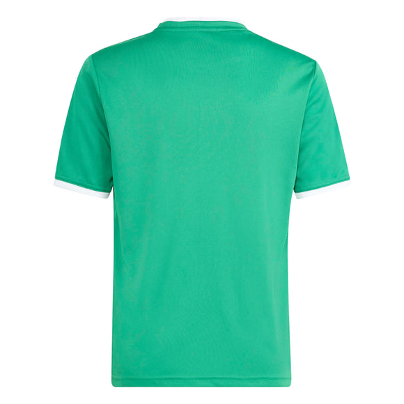 ADIDAS ENT26 GFX JSY Y KB3985 JERSEY SHORT SLEEVE FOOTBALL (YB) UNIFORM