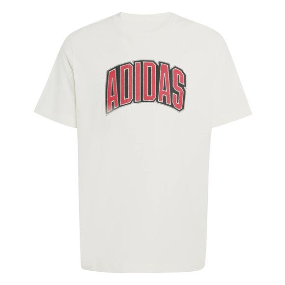 ADIDAS M STAD COLLEG T OWHITE KB4928 T-SHIRT SHORT SLEEVE (M)