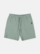 QUIKSILVER TAXER AMPH UQYHY03085-GHG0 WALKSHORT (M)-1