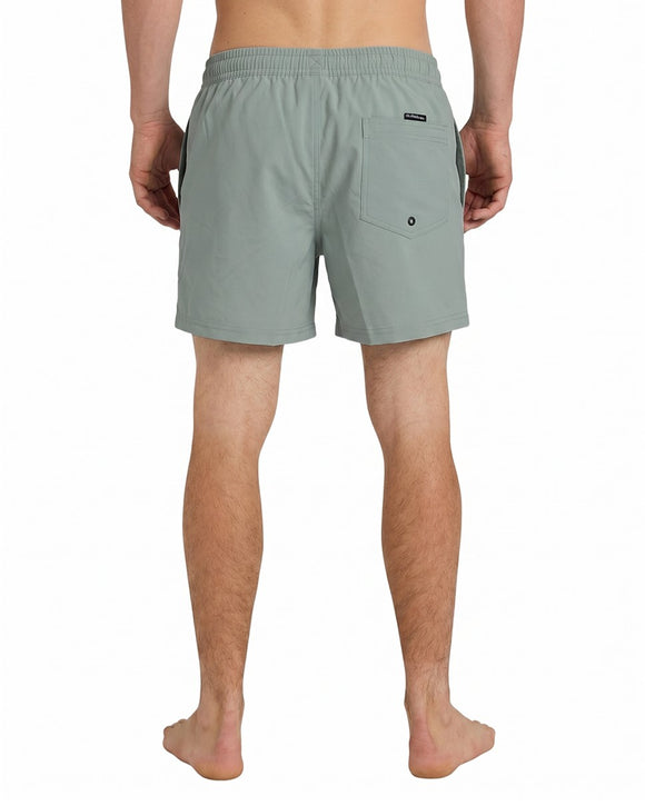 QUIKSILVER EV SOLID 15 ID UQYJV03036-GHG0 BOARDSHORT (M)