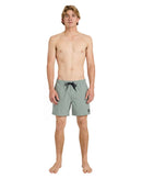 QUIKSILVER EV SOLID 15 ID UQYJV03036-GHG0 BOARDSHORT (M)-4