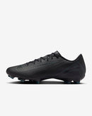 NIKE ZOOM VAPOR 16 ACADEMY FG/MG FQ8374-002 FIRM GROUND SHOES FOOTBALL(M)-2