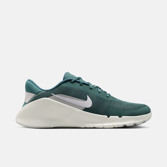 NIKE FLEX TRAIN HV9972-302 TRAINING SHOES (M)
