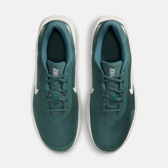 NIKE FLEX TRAIN HV9972-302 TRAINING SHOES (M)