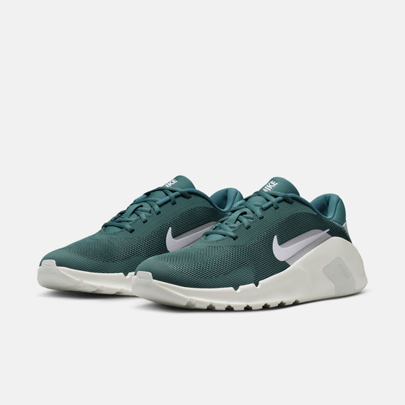 NIKE FLEX TRAIN HV9972-302 TRAINING SHOES (M)