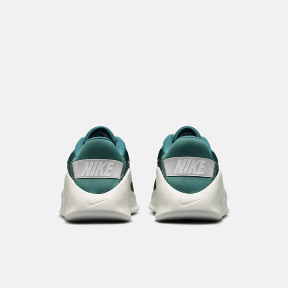 NIKE FLEX TRAIN HV9972-302 TRAINING SHOES (M)