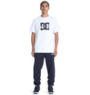 DC BASELINE ADYFB03069-KVJ0 PANT (M)-2