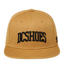 DC SEMI PRO ADYHA04170-CPD0 CAP (M)-2