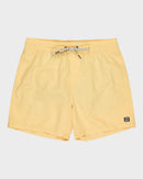 BILLABONG ALL DAY LB EBYJV00134-YGJ0 BOARDSHORT (M)-1
