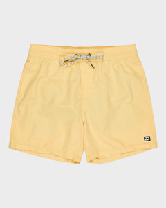 BILLABONG ALL DAY LB EBYJV00134-YGJ0 BOARDSHORT (M)
