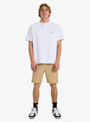 QUIKSILVER TAXER AMPH EQYHY03883-CJZ0 WALKSHORT (M)-5