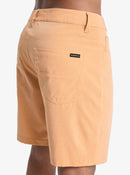 QUIKSILVER NELSON EQYHY03888-CJZH WALKSHORT (M)-4