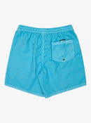 QUIKSILVER EVERYDAY EQYJV04156-BJK0 BOARDSHORT (M)-7