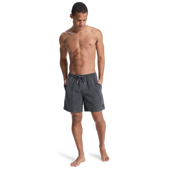 QUIKSILVER EVERYDAY EQYJV04156-KVJ0 BOARDSHORT (M)