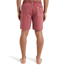 QUIKSILVER EVERYDAY EQYJV04156-MMZ0 BOARDSHORT (M)-11
