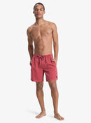 QUIKSILVER EVERYDAY EQYJV04156-RQZ0 BOARDSHORT (M)-5