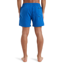 QUIKSILVER EVERYDAY EQYJV04202-BYC0 BOARDSHORT (M)-8