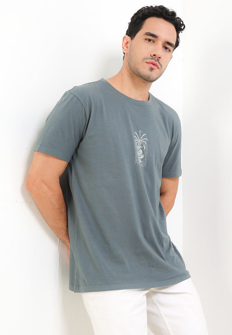 RVCA SERPENT SS TEE VALOCM141-ABG T-SHIRT SHORT SLEEVE (M)