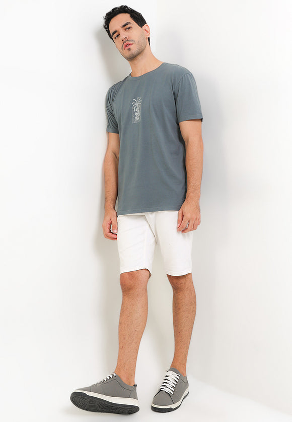 RVCA SERPENT SS TEE VALOCM141-ABG T-SHIRT SHORT SLEEVE (M)
