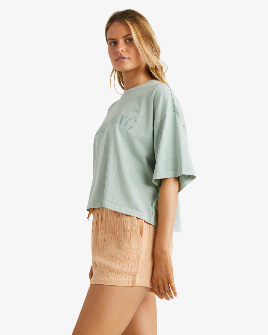 BILLABONG REMY  NDST CJJ0 UBJNS00118-CJJ0 SHORT (W)