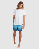 BILLABONG SERGIO LAYBACK UBYBS00112-LTN BOARDSHORT (M)-2