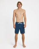 QUIKSILVER ORGNL ARCH 18 UQYBS03127-BRQ0 BOARDSHORT (M)-1