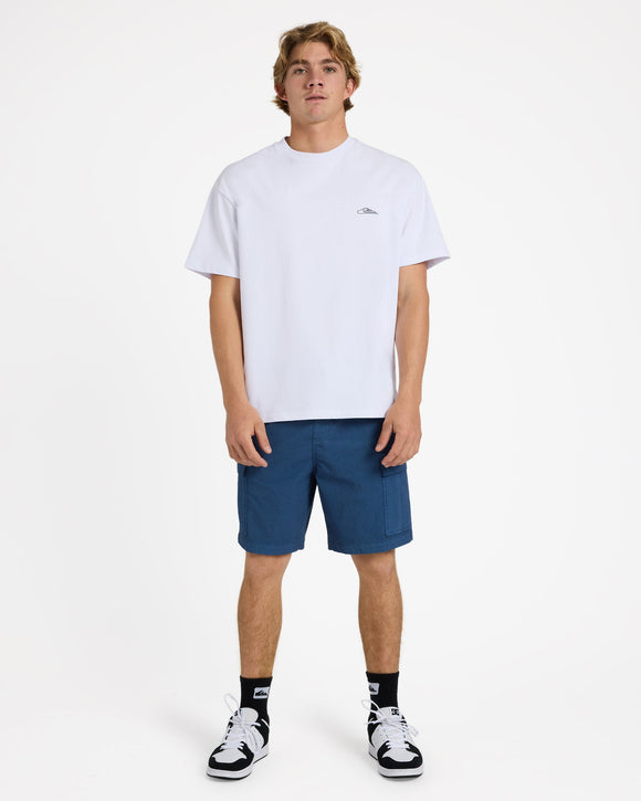 QUIKSILVER TAXER SURFWASH UQYHY03086-BRQ0 WALKSHORT (M)